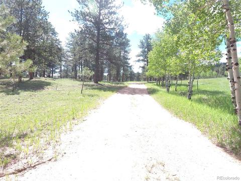 412 Pinon Rd, Bailey, CO 80421 photo 37