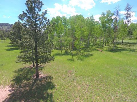 412 Pinon Rd, Bailey, CO 80421 photo 17