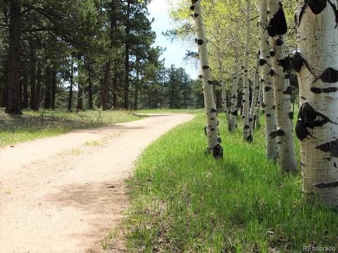 412 Pinon Rd, Bailey, CO 80421 photo 39