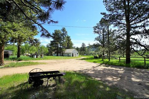 412 Pinon Rd, Bailey, CO 80421 photo 6