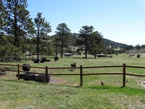 412 Pinon Rd, Bailey, CO 80421 photo 18