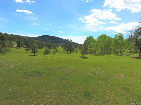 412 Pinon Rd, Bailey, CO 80421 photo 24