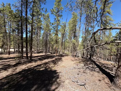 350 Mount Massive Dr, Twin Lakes, CO 81251