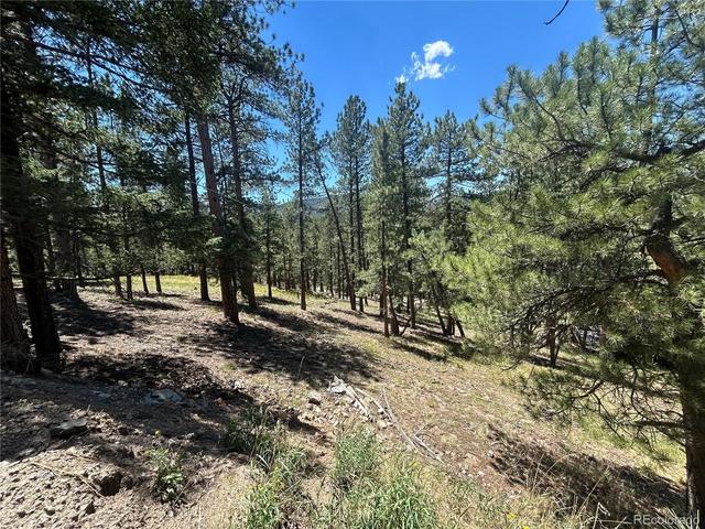 0 Pine Pne, Evergreen, CO 80439