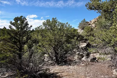 753 Duffy Loop, Cotopaxi, CO 81223 photo 5