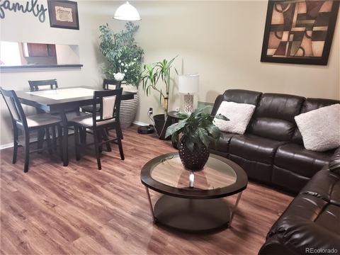 19123 E 46th Ave, Denver, CO 80249 photo 6