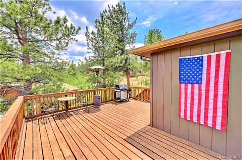 62 Phantom Creek Trl, Bailey, CO 80421 photo 5