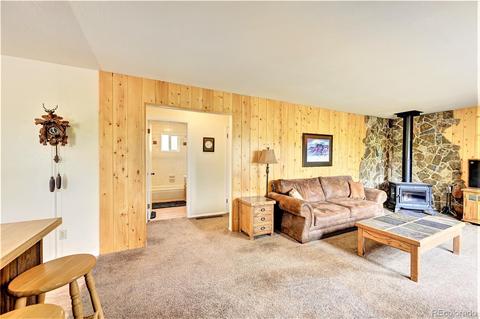 62 Phantom Creek Trl, Bailey, CO 80421 photo 18