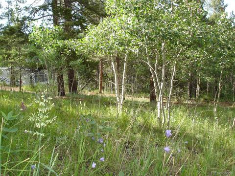 62 Phantom Creek Trl, Bailey, CO 80421 photo 27