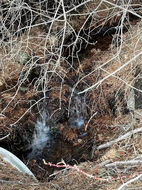 Tbd, Mosca, CO 81146 photo 6