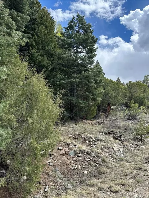 Tbd, Mosca, CO 81146 photo 7