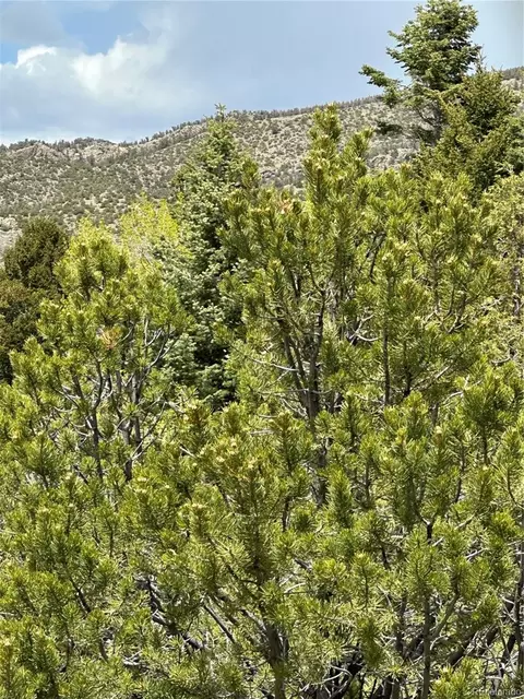 Tbd, Mosca, CO 81146 photo 3