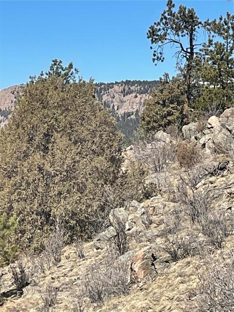 33599 Mount Wilson Peak Trl, Pine, CO 80470 photo 6