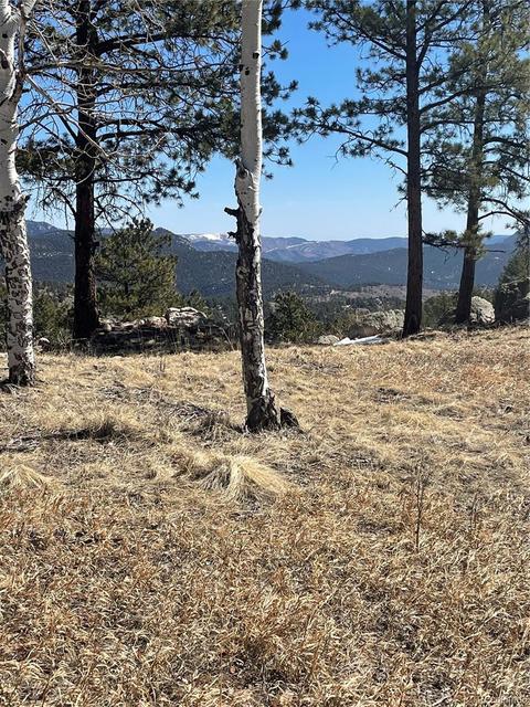 33599 Mount Wilson Peak Trl, Pine, CO 80470 photo 3