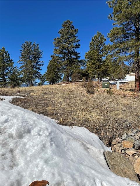 33599 Mount Wilson Peak Trl, Pine, CO 80470 photo 9