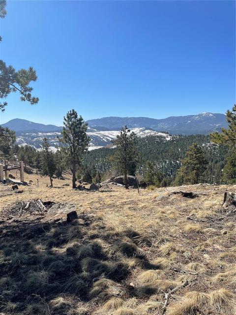 33599 Mount Wilson Peak Trl, Pine, CO 80470 photo 4