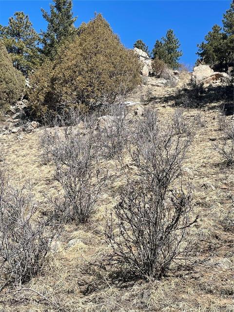 33599 Mount Wilson Peak Trl, Pine, CO 80470 photo 12