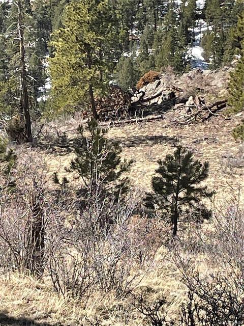 33599 Mount Wilson Peak Trl, Pine, CO 80470 photo 11