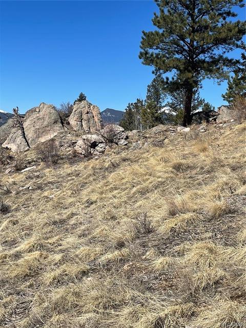 33599 Mount Wilson Peak Trl, Pine, CO 80470 photo 15