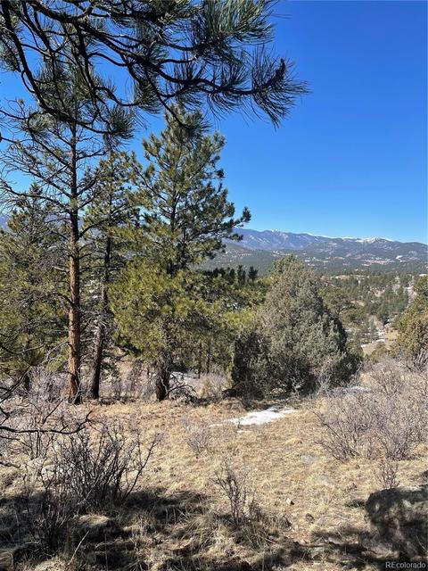 33599 Mount Wilson Peak Trl, Pine, CO 80470 photo 5
