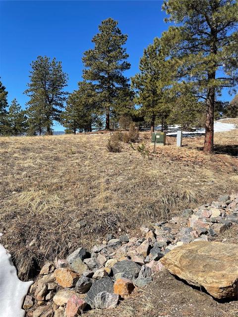 33599 Mount Wilson Peak Trl, Pine, CO 80470 photo 8