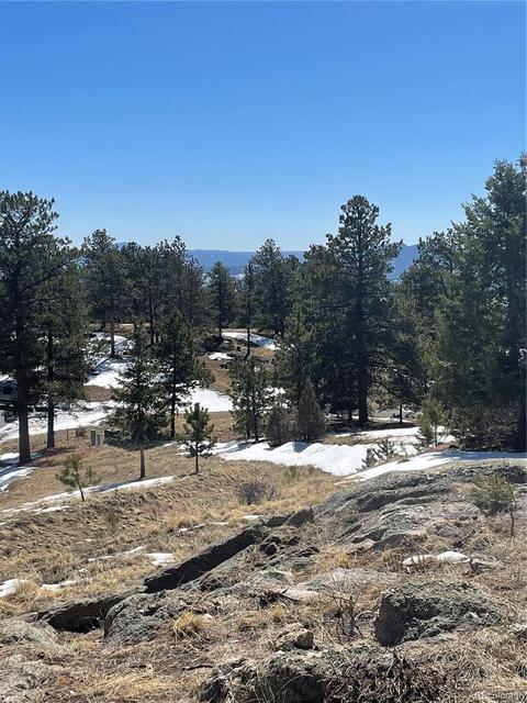 33599 Mount Wilson Peak Trl, Pine, CO 80470 photo 7
