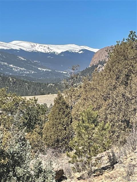 33599 Mount Wilson Peak Trl, Pine, CO 80470 photo 2