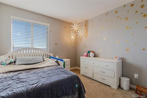 10943 Touchstone Loop, Parker, CO 80134 photo 22