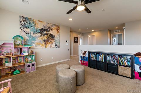 10943 Touchstone Loop, Parker, CO 80134 photo 24