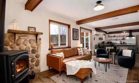 Living - 72 Stucke Rd, Bailey, CO 80421 photo 4 of 5