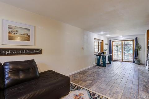 26282 Rea Ave, Conifer, CO 80433 photo 18
