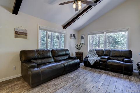 26282 Rea Ave, Conifer, CO 80433 photo 7