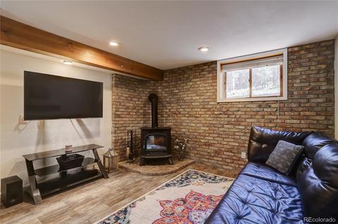 26282 Rea Ave, Conifer, CO 80433 photo 16