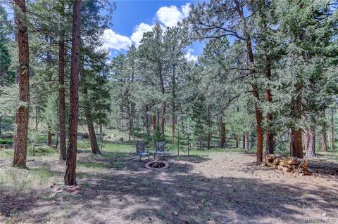 26282 Rea Ave, Conifer, CO 80433 photo 29