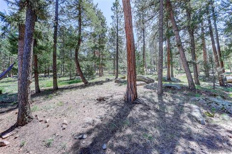26282 Rea Ave, Conifer, CO 80433 photo 30