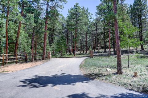 26282 Rea Ave, Conifer, CO 80433 photo 27