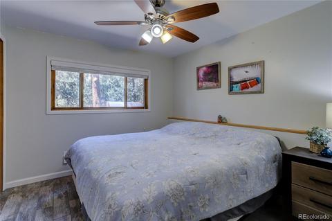 26282 Rea Ave, Conifer, CO 80433 photo 12