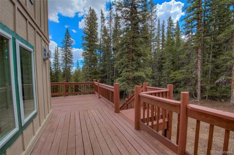140 Morrell Ct, Fairplay, CO 80440 photo 3