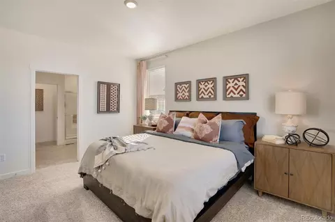 2223 Still Meadows Ct, Monument, CO 80132 photo 17