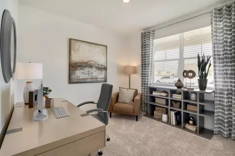 2223 Still Meadows Ct, Monument, CO 80132 photo 22