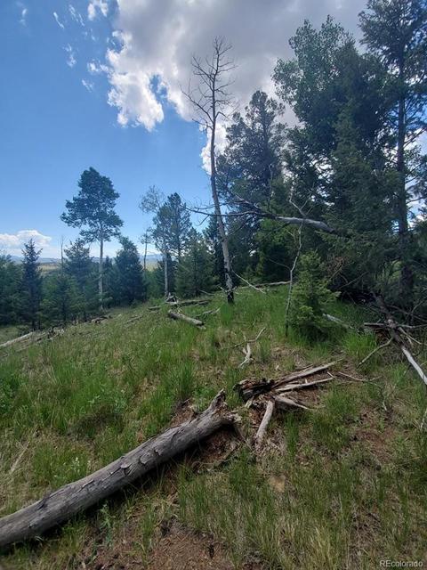 724 Blacksmith Rd, Hartsel, CO 80449 photo 20