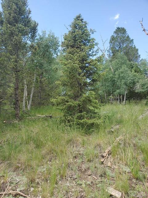 724 Blacksmith Rd, Hartsel, CO 80449 photo 11