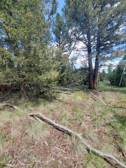 724 Blacksmith Rd, Hartsel, CO 80449 photo 21
