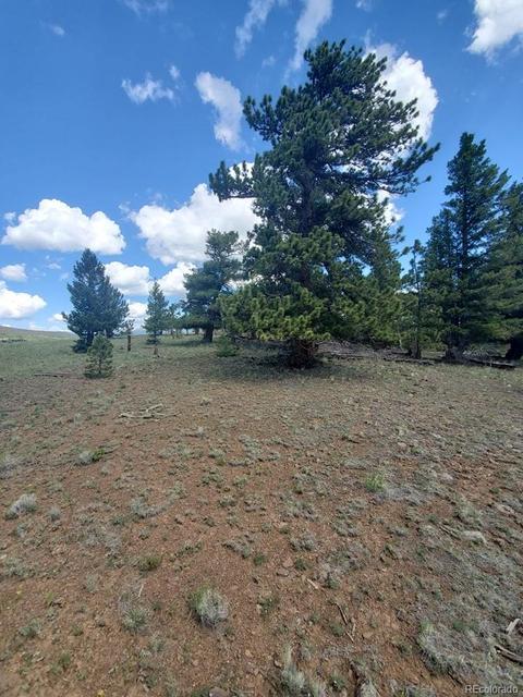 724 Blacksmith Rd, Hartsel, CO 80449 photo 9