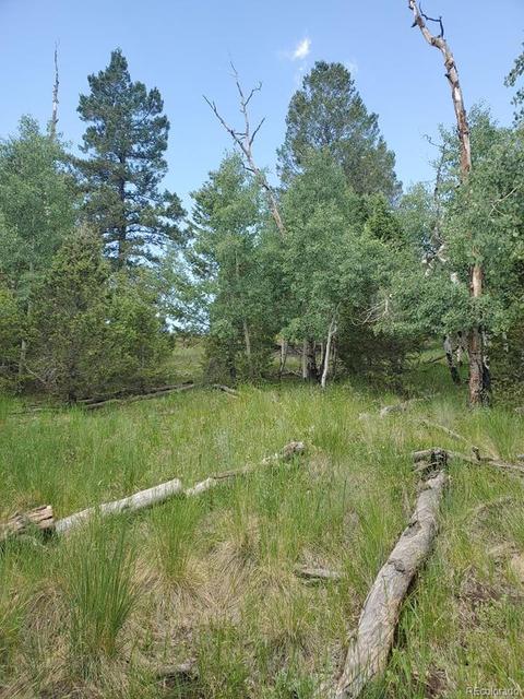 724 Blacksmith Rd, Hartsel, CO 80449 photo 12