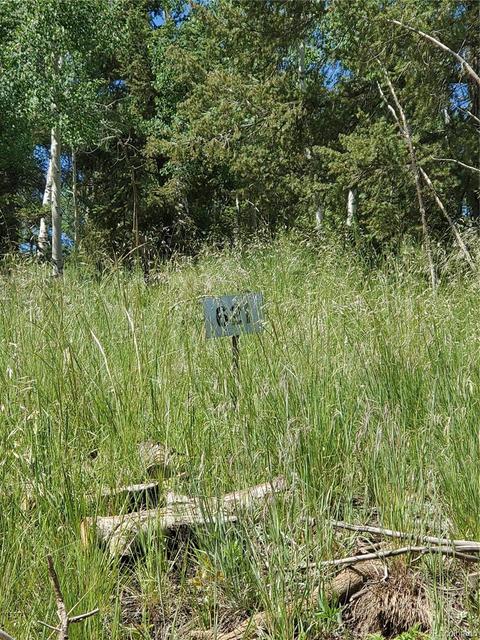 724 Blacksmith Rd, Hartsel, CO 80449 photo 3
