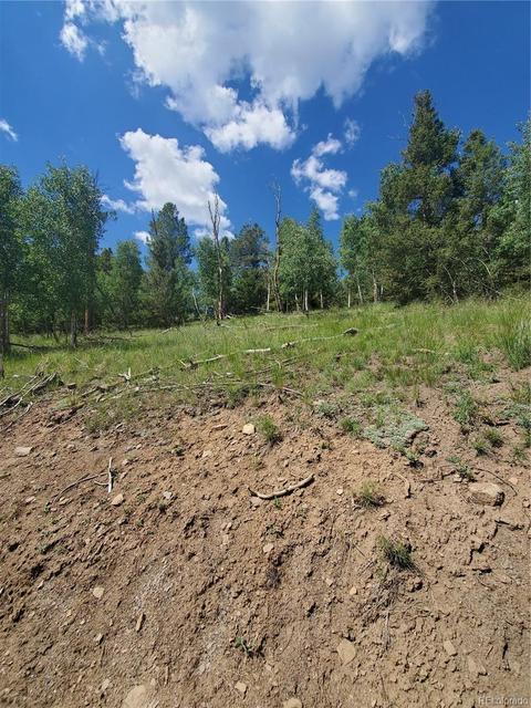 724 Blacksmith Rd, Hartsel, CO 80449 photo 4