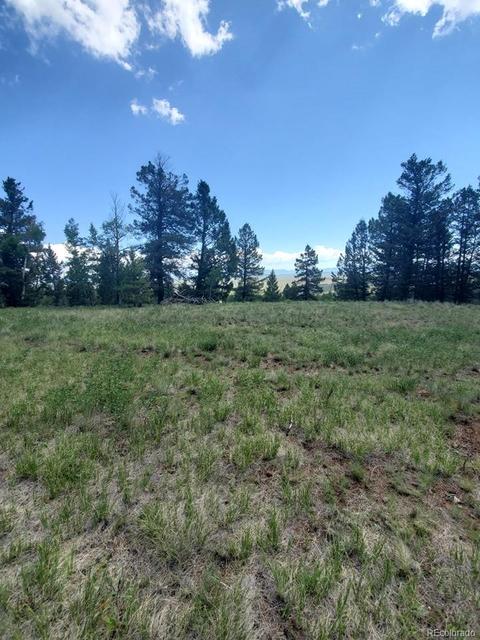 724 Blacksmith Rd, Hartsel, CO 80449 photo 27