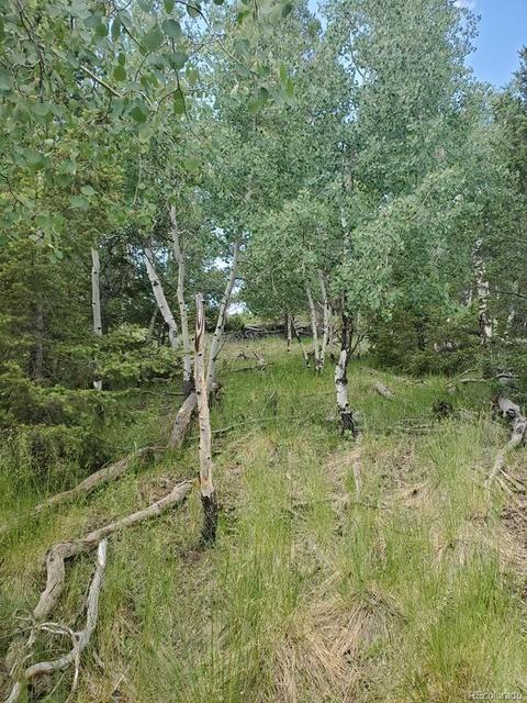 724 Blacksmith Rd, Hartsel, CO 80449 photo 8