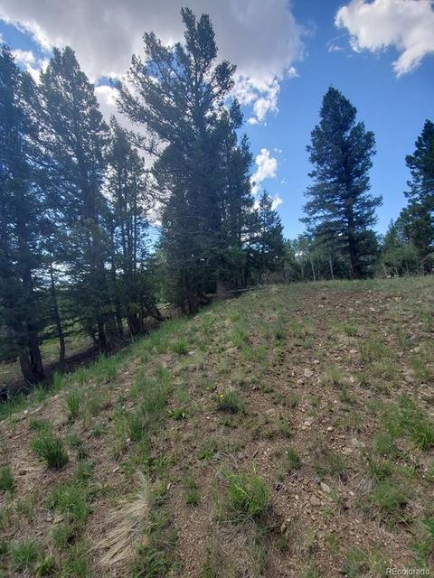 724 Blacksmith Rd, Hartsel, CO 80449 photo 6